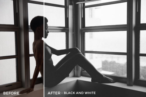 1 Black and White - Sam Dameshek Lightroom Presets - Sam Damashek Photography - FilterGrade Digital Marketplace