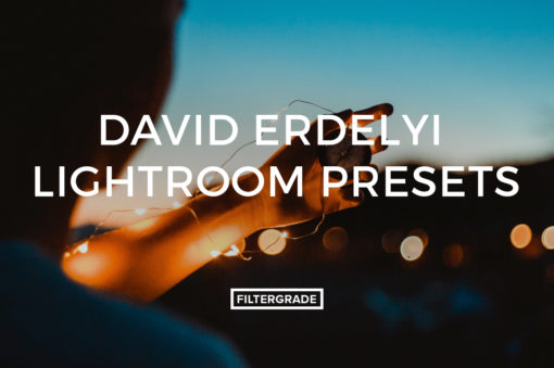 David Erdelyi Lightroom Presets