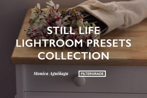 Still Life Lightroom Presets Collection by Monica Aguinaga