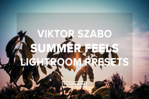 Viktor Szabo Summer Feels Lightroom Presets - FilterGrade