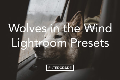Wolves in the Wind Lightroom Presets Pack